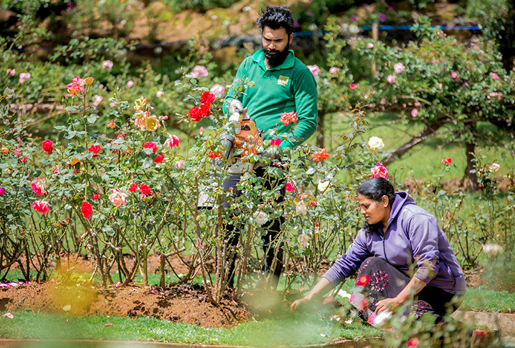 Department Of National Botanic Gardens