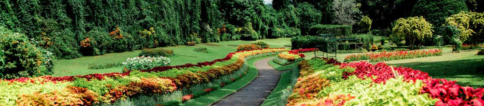 Royal Botanic Gardens Department Of