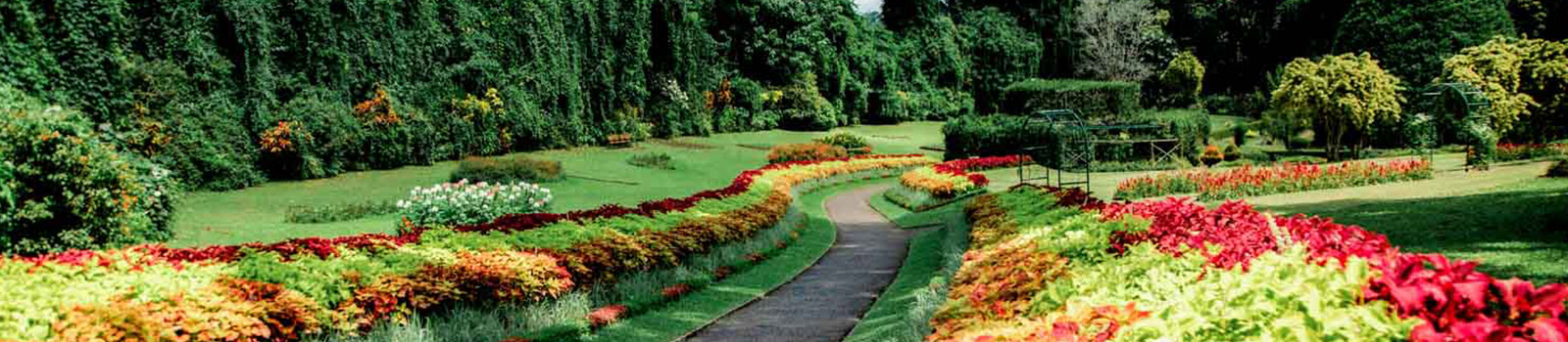 peradeniya botanical garden essay grade 8