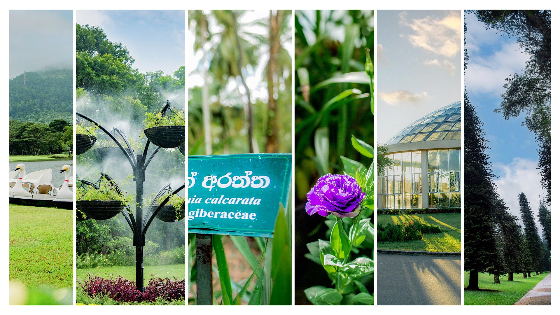 Department Of National Botanic Gardens