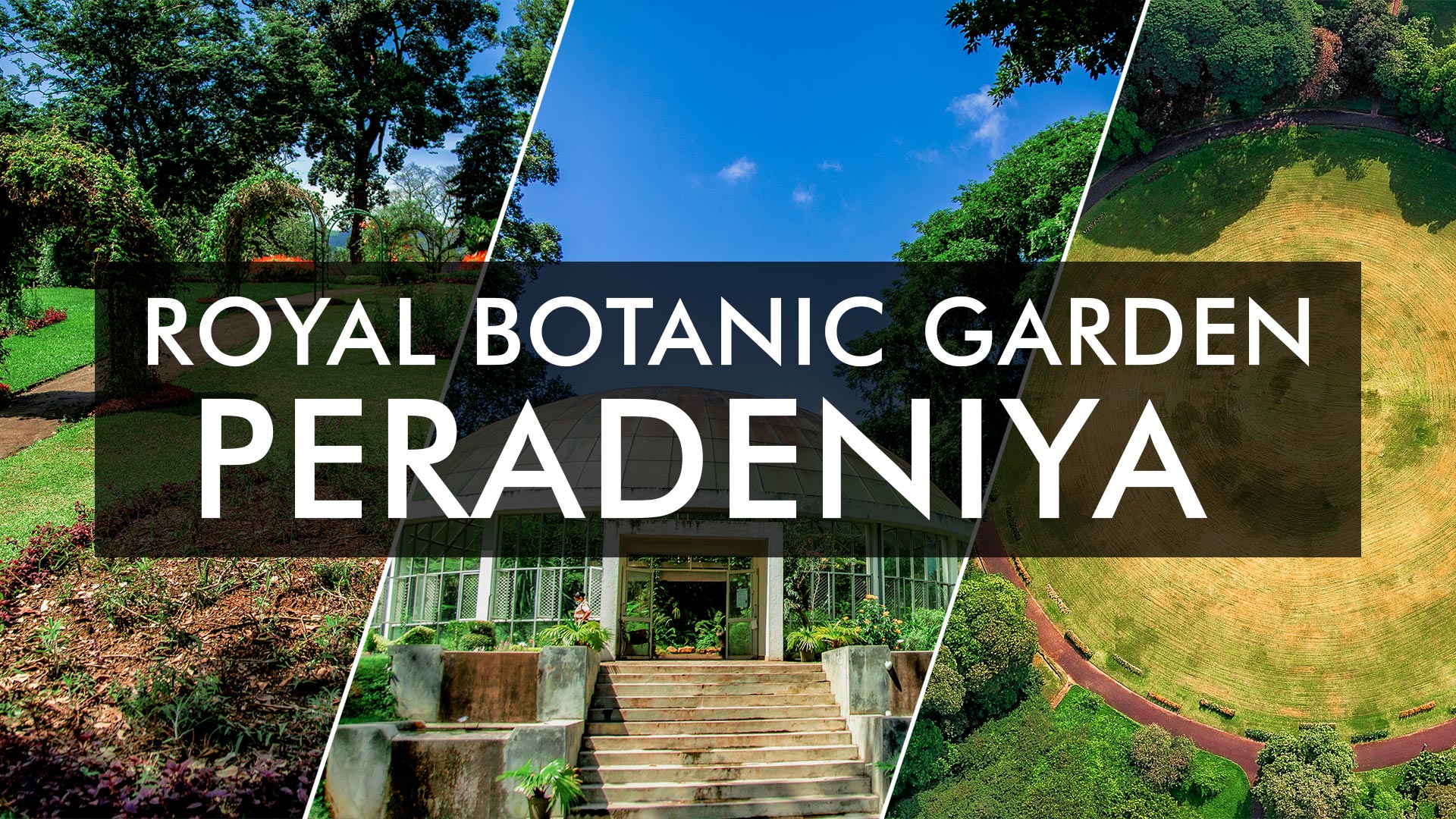 royal botanical garden essay